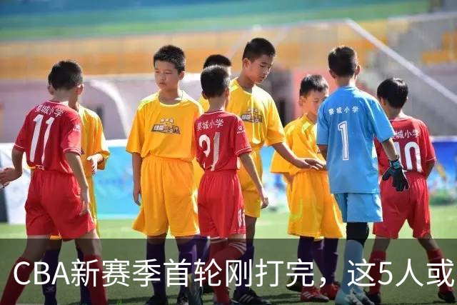 CBA新赛季首轮刚打完，这5人或退出男篮国家队，胡明轩领衔，2大内线被高估
